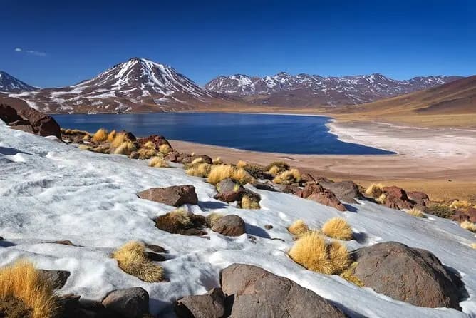 Laguna Chaxa
